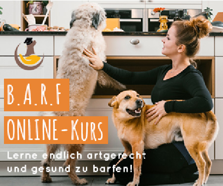 BARF für Hunde