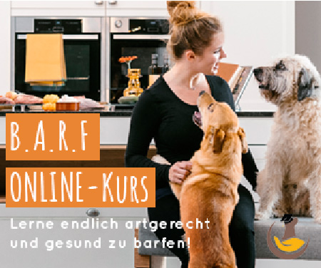 BARF für Hunde