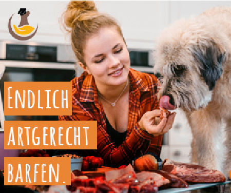 BARF für Hunde