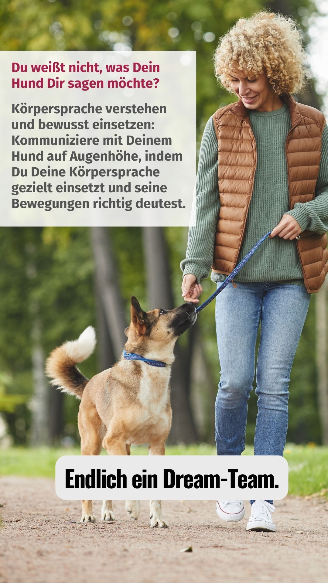 Das Coachingbuch für Hundebesitzer